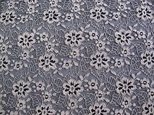 Het bloemen Geborstelde Elastische het Ivoor van de Kantstof Stretchable AZO Vrije Verven CY-LW0652
