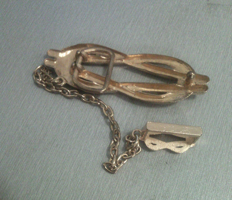Gouden de Riemgesp van de Legeringsdoek voor Kledingstuk/Schoenen/handtas/riem met ketting