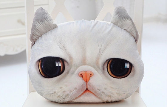 3D Hoofdkussen van de de Giften Zachte Gevulde Pluche van het Kattengezicht, decoratieve hoofdkussens voor laag